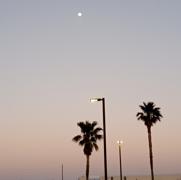 Meet your Posher, Saige - Picture 4 of 4